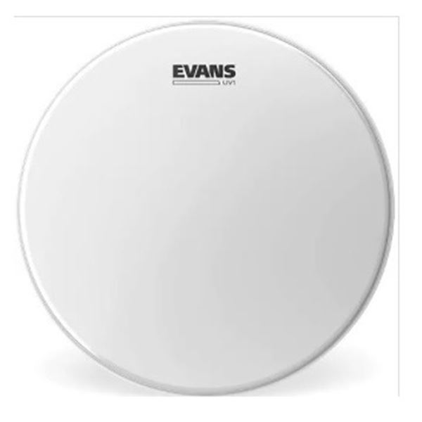 Evans BD18UV1 18" Uv1 Btr Ctd