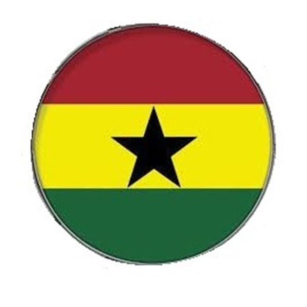 Evans Inked 22" Reggae