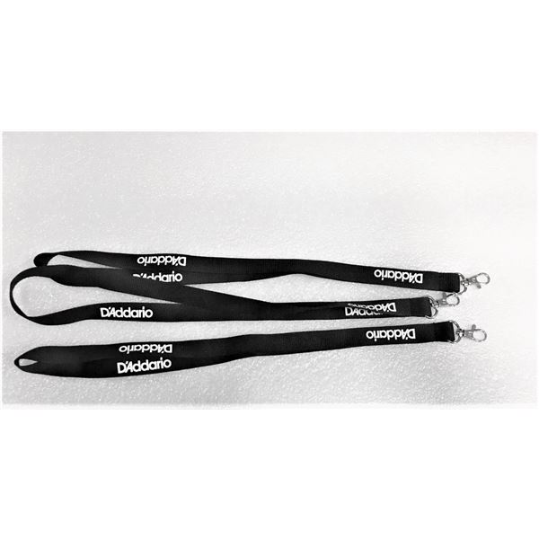 Two D'Addario Lanyards