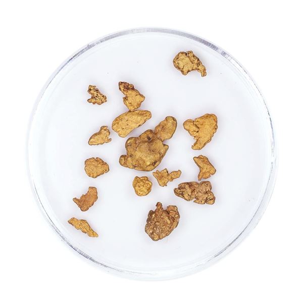 Lot of Gold Nuggets 2.88 Grams Total Weight