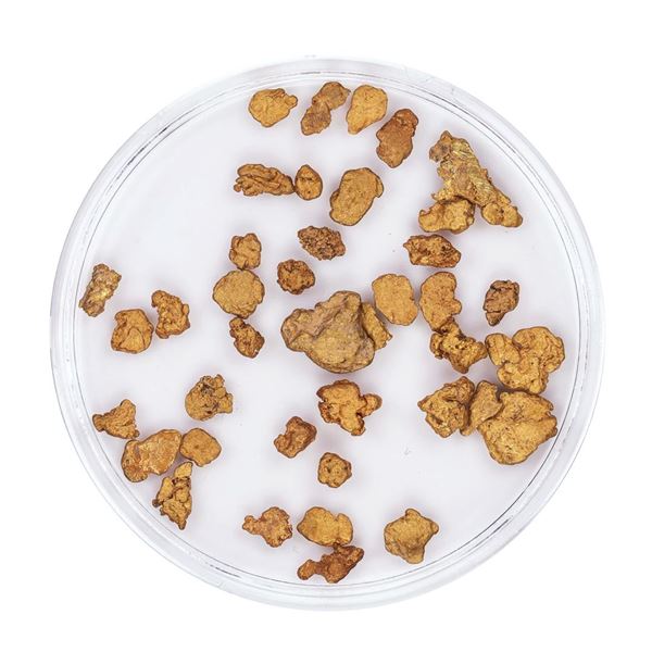 Lot of Gold Nuggets 4.29 Grams Total Weight