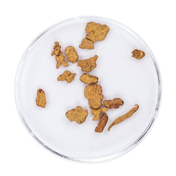 Lot of Gold Nuggets 2.12 Grams Total Weight