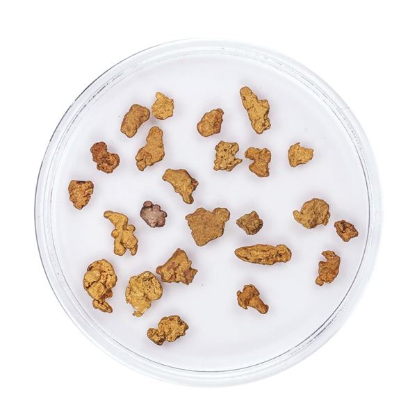 Lot of Gold Nuggets 2.50 Grams Total Weight