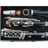 Image 2 : CLARINET IN CASE