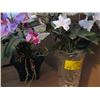 Image 2 : BASKET OF MISC. ARTIFICIAL PLANTS IN VASE, ETC.