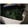 Image 3 : 10 TOTES & BOXES OF ASST. CHRISTMAS DECORATIONS