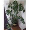 Image 1 : 2 ARTIFICIAL PLANTS