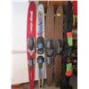 Image 1 : WATER SKIS, SNOW SKIS