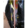 Image 2 : WATER SKIS, SNOW SKIS
