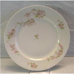 Austria Dinner Plates #1644416