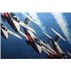 Image 2 : 1989 USA AIR SHOW - SNOWBIRDS
