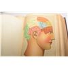 Image 6 : 1897 MEDICAL ENCYCLOPEDIA OF MEDICINE 1300 + PAGES