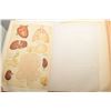 Image 7 : 1897 MEDICAL ENCYCLOPEDIA OF MEDICINE 1300 + PAGES