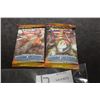 Image 1 : POKEMON X 2 SEALED PACKS TRADING CAR