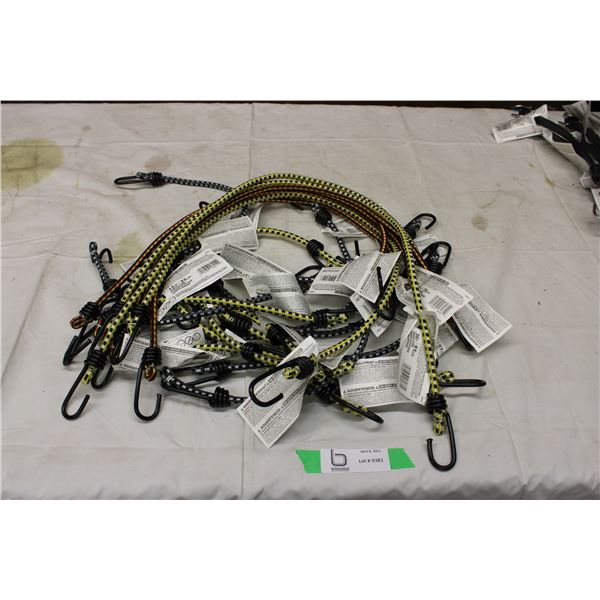 Assortment of Bungee Cords