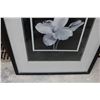 Image 3 : Picture in Frame 24" x 30"