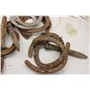 Image 4 : Horseshoes and Railroad Spikes