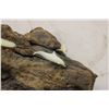 Image 3 : Whale with Baby Ornament