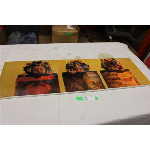 Picture 12" x 36"