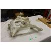 Image 1 : Animal Skull (Bone)