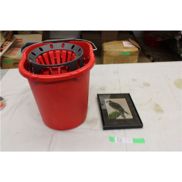 Mop Bucket and Bird Picture