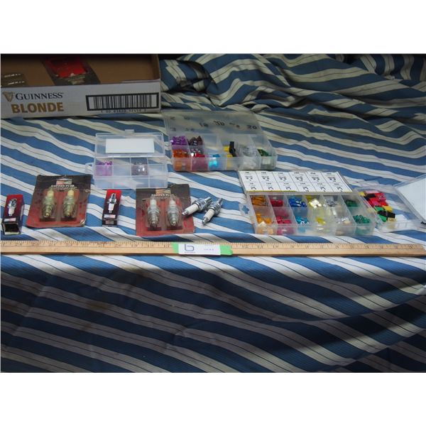 New Spark Plugs and Fuses