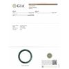Image 3 : Natural Mottled Green jade Bangle - GIA Certified