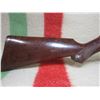 Image 6 : Daisy Model 25 BB Gun - Pump Up - Nylon Stock