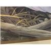 Image 2 : FRAMED & SIGNED LEP 586/950 EAGLE PRINT