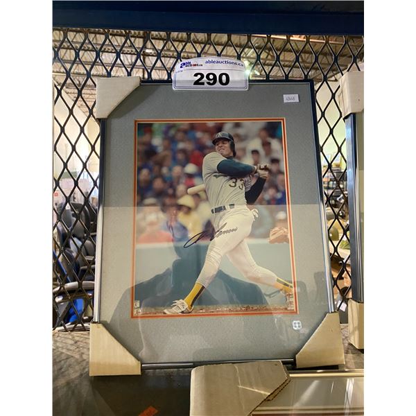 SIGNED & FRAMED #33 BASEBALL PHOTO