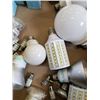 Image 2 : TRAY OF LIGHTBULBS