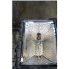 Image 2 : DOUBLE WORK LIGHT, LARGE BOW SAW AND PRUNER