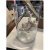 Image 2 : TRAY OF PRINTS, CORAL IN GLASS VASE, DECORATIONS