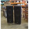 Image 1 : Pair Vicasi Professional 52" loudspeakers 600W-1000W