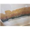 Image 7 : ARTISTS PROOF AND LIMITED EDITION PRINT LOW TIDE SEANAMOS PT BY GWEN CURRY AND JULY SEA LEP