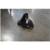 Image 1 : LEATHER CAVALRY HELMET WITH HORSE HAIR TASSEL