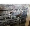 Image 2 : LEP SEEREY LESTER DUCKS LIMITED EDITION PRINT