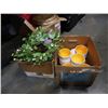 Image 1 : BOX OF EASTER BOWLS, AND NEW WREATHS