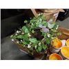 Image 2 : BOX OF EASTER BOWLS, AND NEW WREATHS
