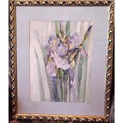 Iris Watercolor by Florence Upson Young #1614672