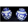 Pair of Antique Chinese Cloisonne Jars #1627317