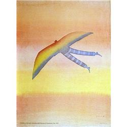 Folon   Amnesty international #1634095