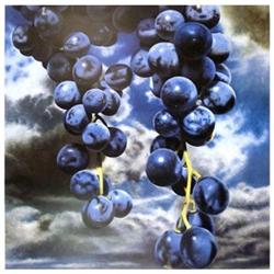 Kneffel   Grapes #1634116