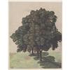 Image 1 : Beautiful Durer Study of Three Lime Trees #1634270