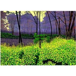 October Woods #1634526