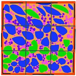 Ivy in Flower #1634542