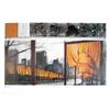 Image 1 : Christo   The Gates XXI #1634623