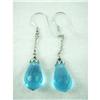 Image 1 : Blue Crystal Dangle Sterling Silver Earrings #1635632