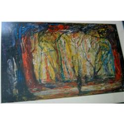 Morning rising Sun in the Jungle #1637351