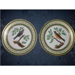 1810 Schoelcher old Paris porcelain bird #1637500
